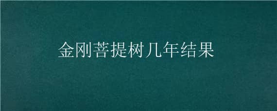 金刚菩提树几年结果 金刚菩提树多少年结果