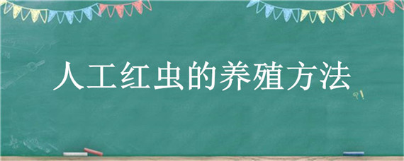 人工红虫的养殖方法（人工怎样养殖红虫）