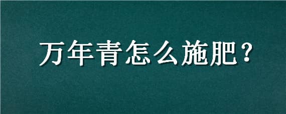 万年青怎么施肥，万年青怎么施肥叶子黄了