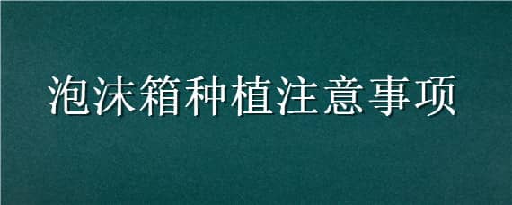 泡沫箱种植注意事项（泡沫箱种植注意事项视频）