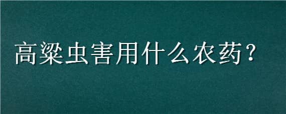 高粱虫害用什么农药（高粱虫害用什么农药最好）