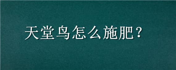 天堂鸟怎么施肥（天堂鸟怎么施肥料）