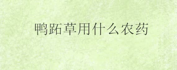 鸭跖草用什么农药，鸭跖草用什么农药打对冬瓜地不妨碍