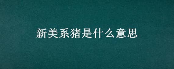 新美系猪是什么意思 什么叫新美系的猪