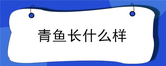 青鱼长什么样 青鱼长什么样子图片