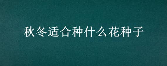 秋冬适合种什么花种子，秋冬适合种什么花种子长得快