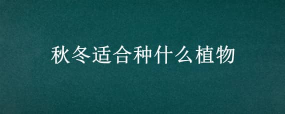 秋冬适合种什么植物 秋冬适合种什么植物图片