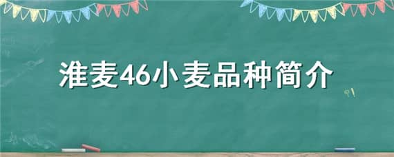 淮麦46小麦品种简介 淮麦43小麦品种简介