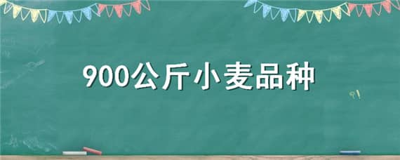 900公斤小麦品种（900公斤小麦品种百农418今年高产吗）