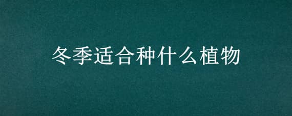 冬季适合种什么植物 冬季适合种什么植物图片