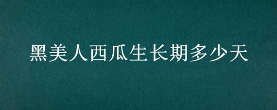 黑美人西瓜生长期多少天（黑美人西瓜生长期多少天能吃）