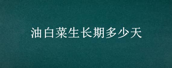 油白菜生长期多少天，油白菜生长期多少天吃