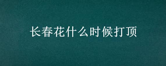 长春花什么时候打顶，长春花开花的时候可以打顶吗