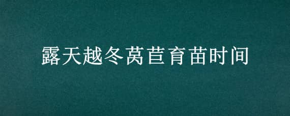 露天越冬莴苣育苗时间，露地莴苣什么时候移栽