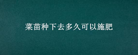 菜苗种下去多久可以施肥 菜苗种下去多久可以施肥啊