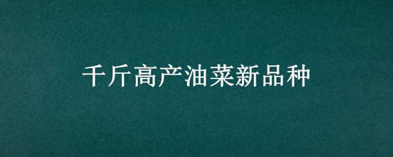 千斤高产油菜新品种 千斤高产油菜新品种哪个种子公司有货?