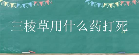 三棱草用什么药打死（旱田三棱草用什么药打死）