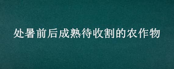 处暑前后成熟待收割的农作物（处暑前后成熟待收割的农作物有哪些）