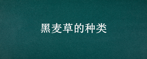 黑麦草的种类 黑麦草的种类及图片