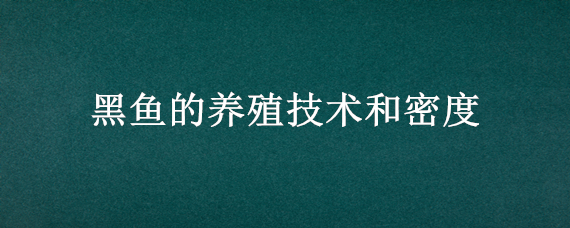 黑鱼的养殖技术和密度（黑鱼的高密度养殖技术）