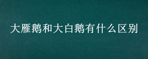 大雁鹅和大白鹅有什么区别 大雁鹅和大白鹅有什么区别吗