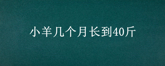 小羊几个月长到40斤，小羊几个月长到40斤为止