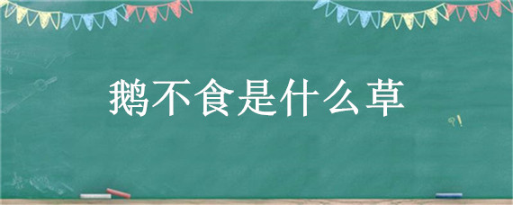 鹅不食是什么草 鹅不食是什么草药