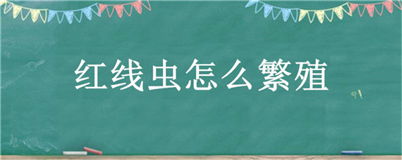 红线虫怎么繁殖（红线虫怎么繁殖视频）