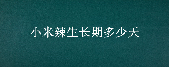 小米辣生长期多少天 小米辣的生长周期有多长