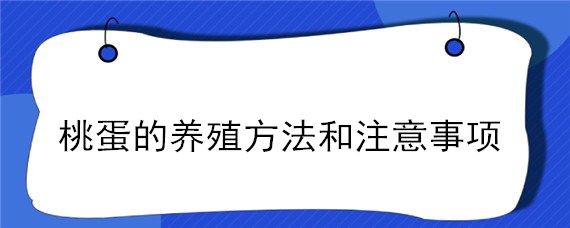 桃蛋的养殖方法和注意事项 桃蛋的养殖方法和注意事项视频