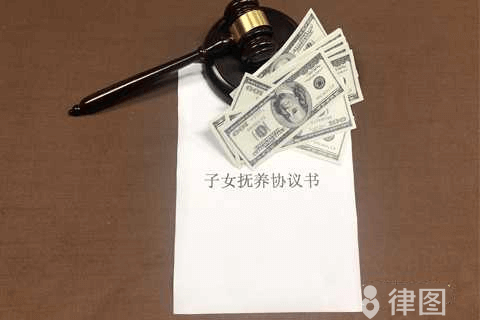 什么是社会抚养费?社会抚养费的征收标准是什么?