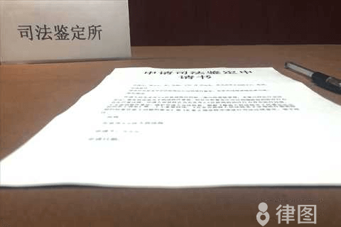 官司中司法鉴定费用谁出