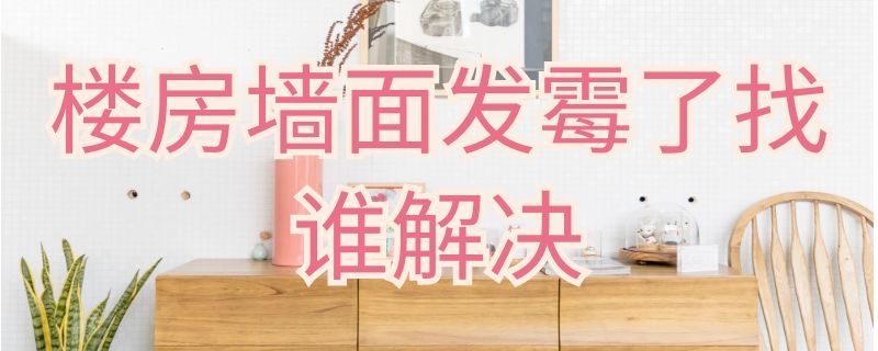 楼房墙面发霉了找谁解决