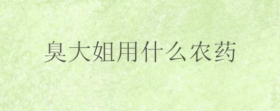 臭大姐用什么农药 臭大姐用什么农药杀死