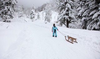 雪板怎样保存不发霉（雪板可以用多久）