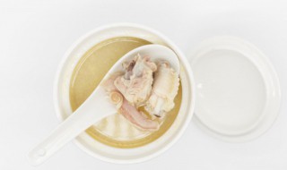 乳鸽汤的家常煮法 乳鸽汤的家常做法大全