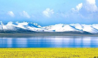 青海湖几月份去合适（几月去青海湖最好,青海湖什么季节去最好）