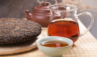 瓷壶适合泡什么茶 瓷壶适合泡什么茶最好