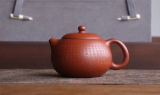 紫砂西施壶适合泡什么茶（紫砂西施壶适合泡什么茶叶）