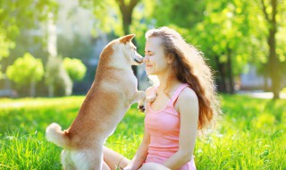 什么属相的人养犬好呢女生（什么属相的人适合养狗狗）