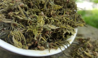 杜仲茶的简单制作方法（杜仲茶的制作过程）