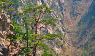 长青游玩景点有哪些 长青旅游景点大全