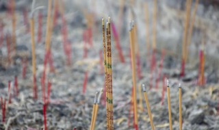 清明节可以动土修坟吗 清明节可以动土修坟吗为什么