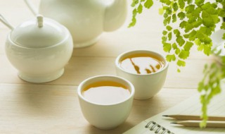 碧螺春茶有哪些特点，碧螺春茶有哪些特点