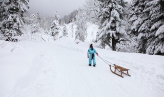 怎样保养滑雪衫 怎样保养滑雪衫呢