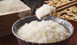 热饭要加水吗 用电饭煲热饭要加水吗