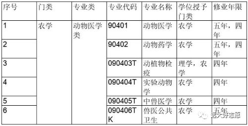 喜欢动物的学生可以考虑这些专业！