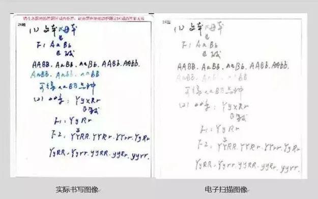 注意！！高考答题卡扫描后“大变样”？这些细节不注意直接0分！