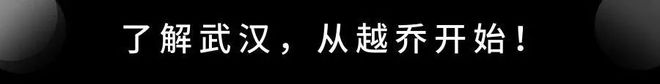 重锤！武汉公积金纳入试点