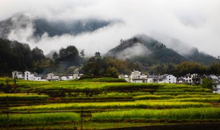 去婺源旅游几月份最好 婺源几月份去最好玩